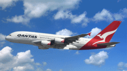 Kangaroo airlines