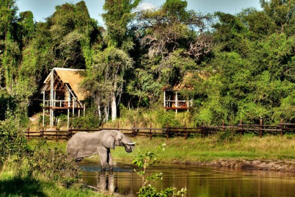 botswana Destination