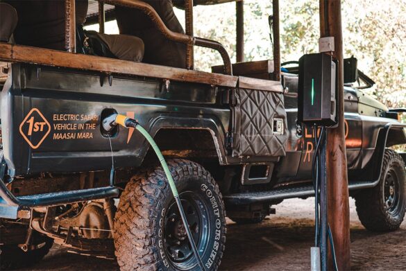 Safari
