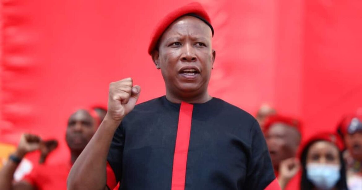Malema