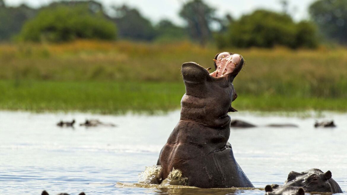 Caprivi