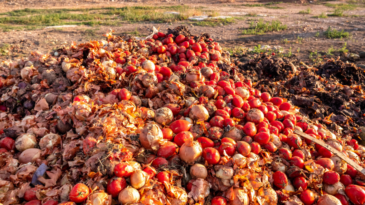 International Day of Awareness of Food
