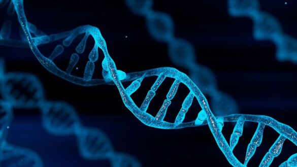 DNA Paternity