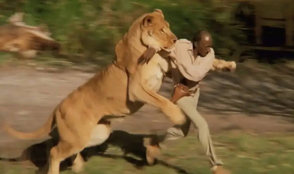 Zookeeper