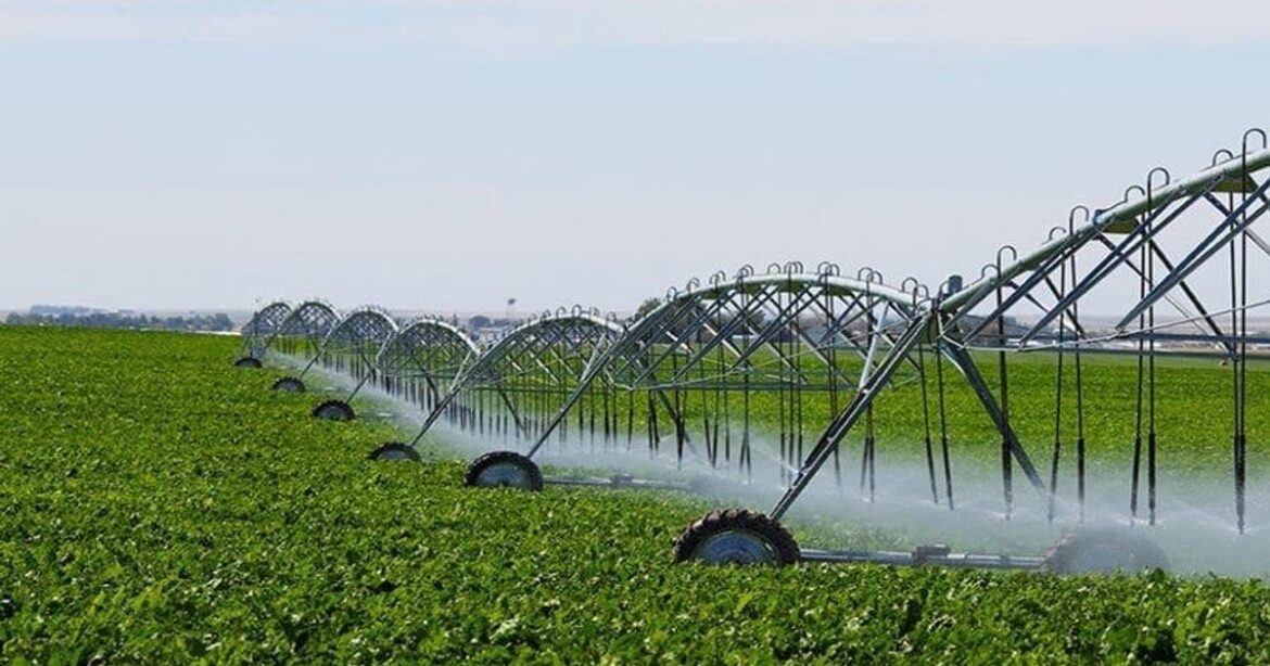 Food Self-Sufficiency