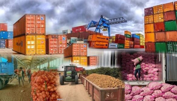 Cocoa and Sesame Exports