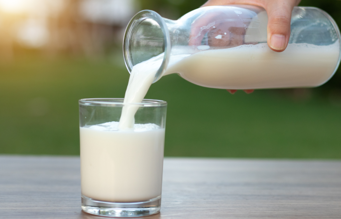 Nigerian Dairy Industry