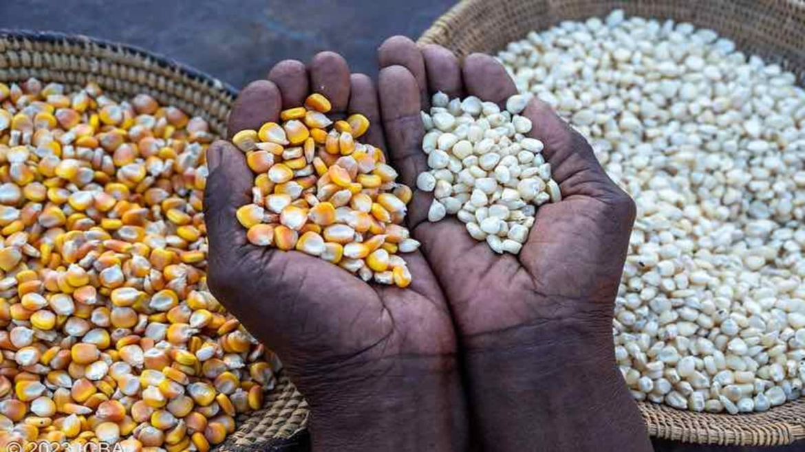 Ghanaian traders