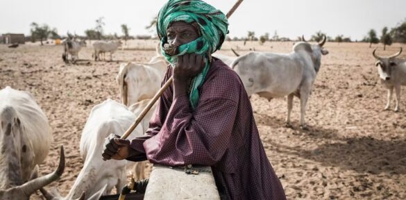 Fulani People
