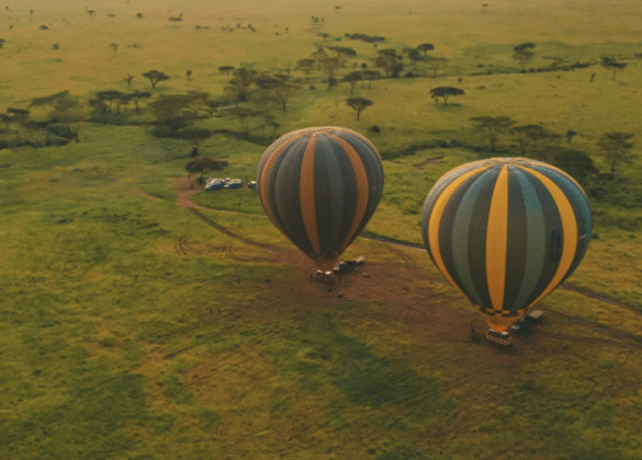 Serengeti Balloon Rides