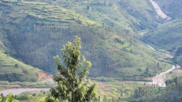 Nyungwe-Ruhango Corridor