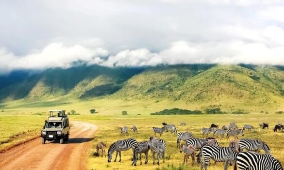 Soin Africa Safaris