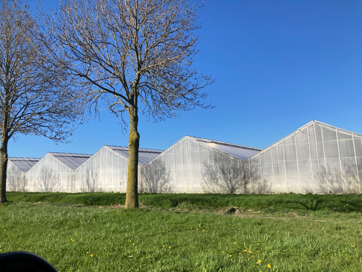 Staff Crisis in Netherlands