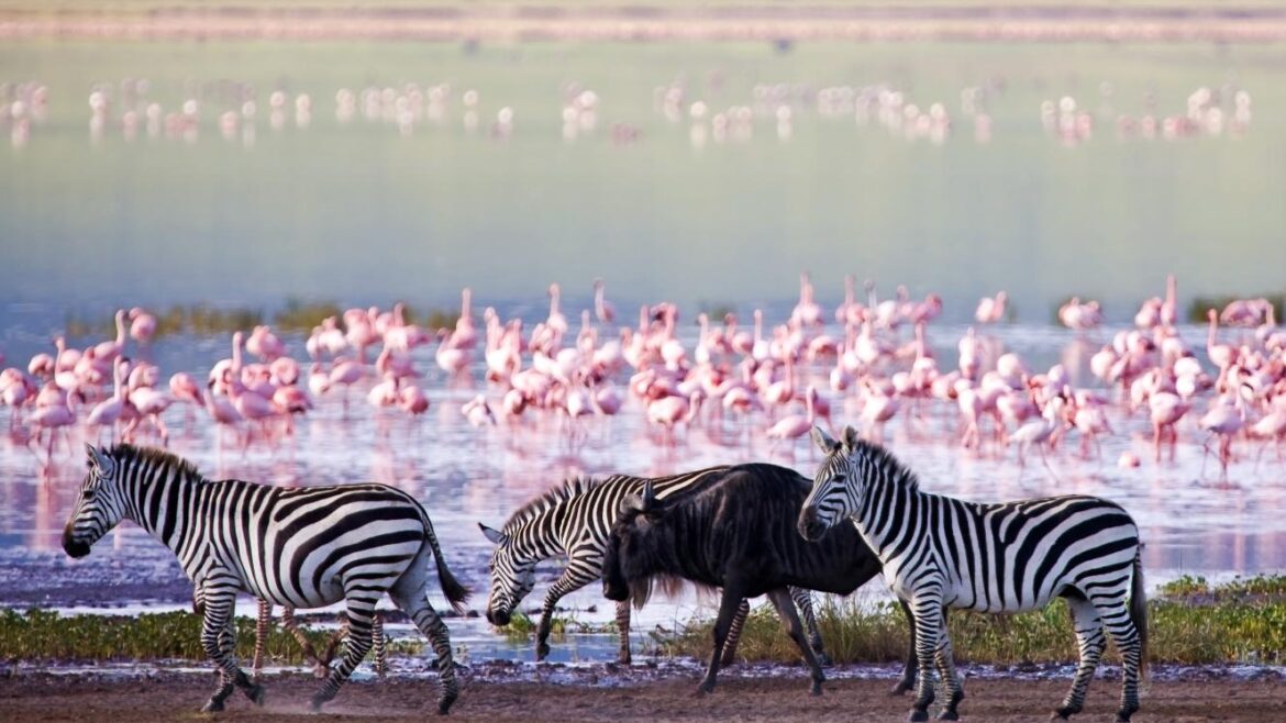 Mount Kenya
