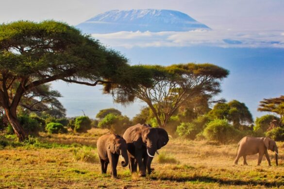 KENYA TOURISMM DRIVE
